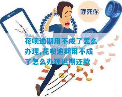 花呗逾期无法使用后的相关处理方法及应对措