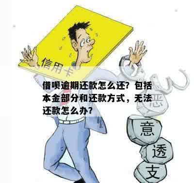 逾期还款导致无法借款的解决方法及影响分析