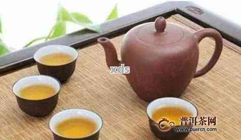 泡普洱茶用大壶好：选择合适壶大小泡出理想口感