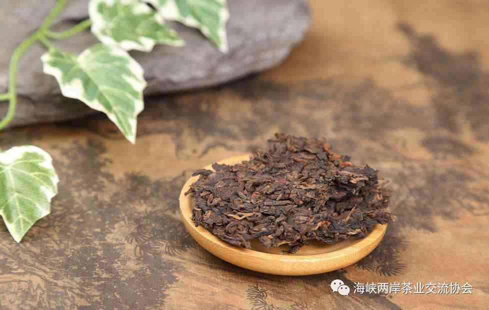 曼松普洱茶：大叶种还是小叶种？生普还是熟普？功效与作用是什么？