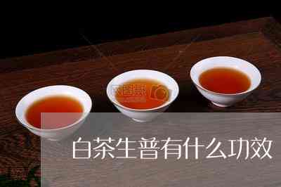 曼松普洱茶：大叶种还是小叶种？生普还是熟普？功效与作用是什么？