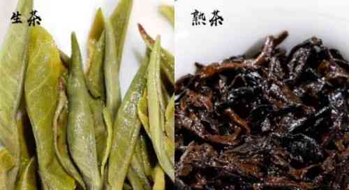 普洱茶减肥效果对比：哪种更美味快速？