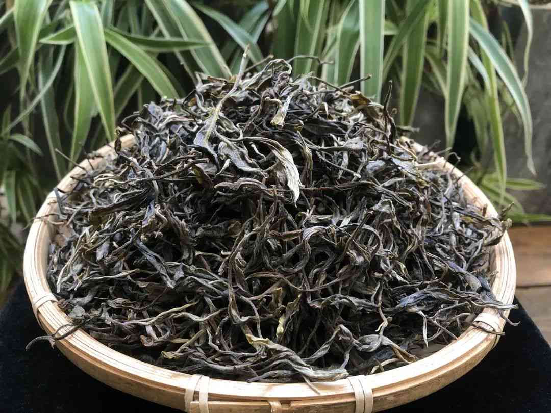 磨烈古树茶2019价格 - 了解2019年的磨烈古树茶价格