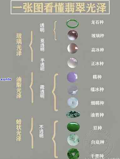 全面解析翡翠结构：从质地、种类到制作工艺的详细探讨