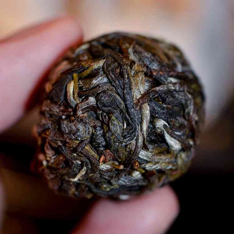 曼松普洱茶生茶龙珠