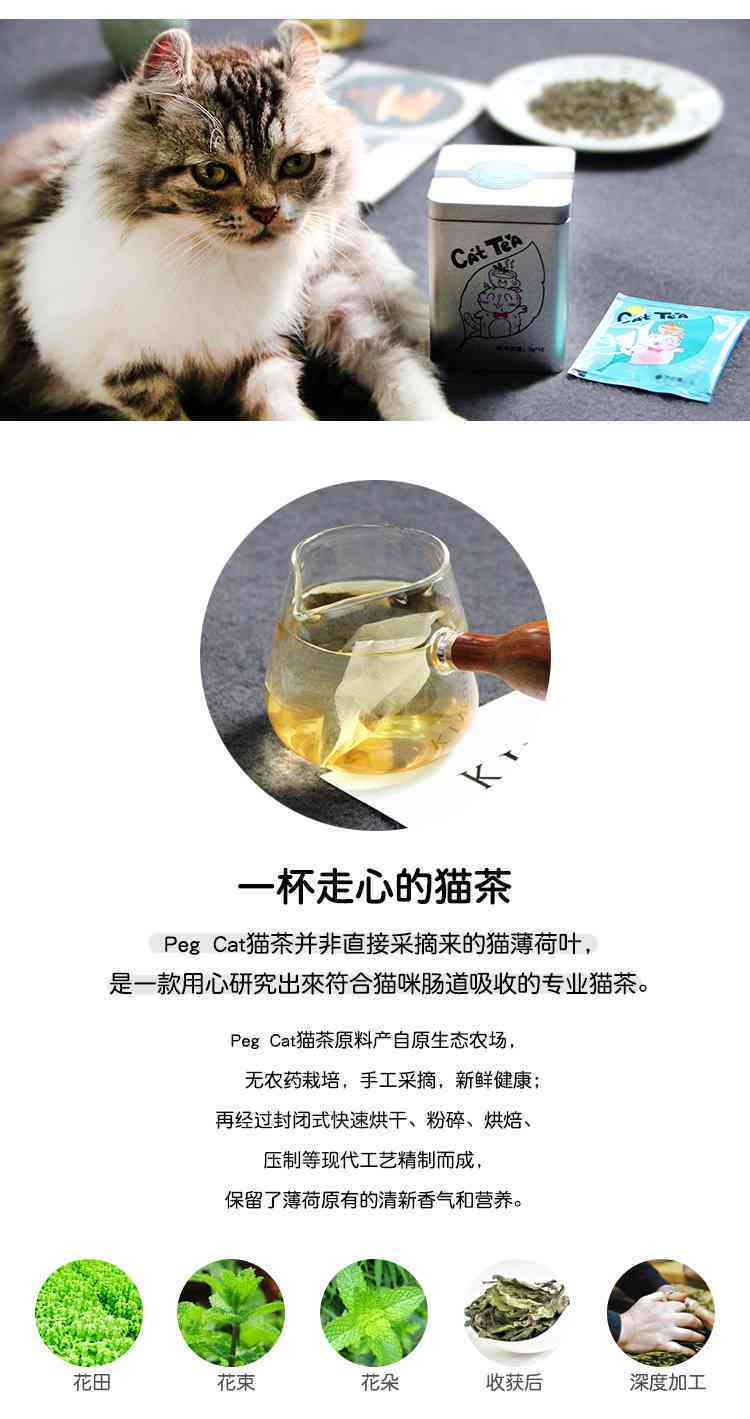 猫普洱铁盒200g:产品介绍、品饮方法、购买指南及收藏价值