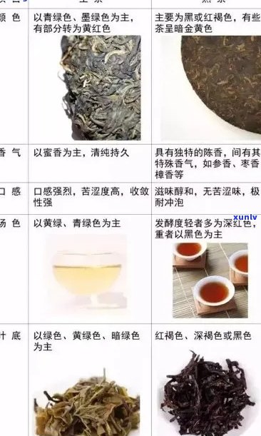 雀之春普洱茶生茶：品质、制作工艺与口感的综合指南