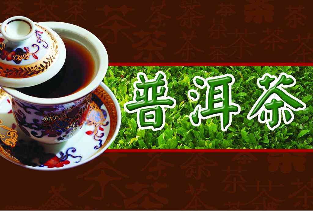 全方位解析：普洱茶抖音教学究竟如何？从选择茶叶到冲泡技巧，一应俱全！