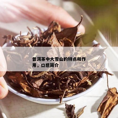 普洱茶大雪山口感简介：好茶吗？特点和价格，产地在哪？