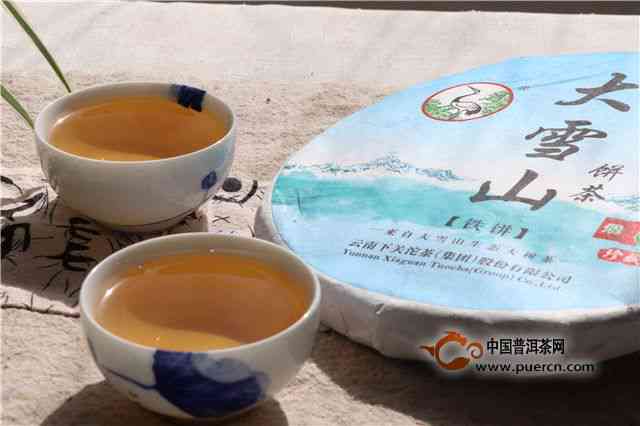 大雪山普洱茶99米