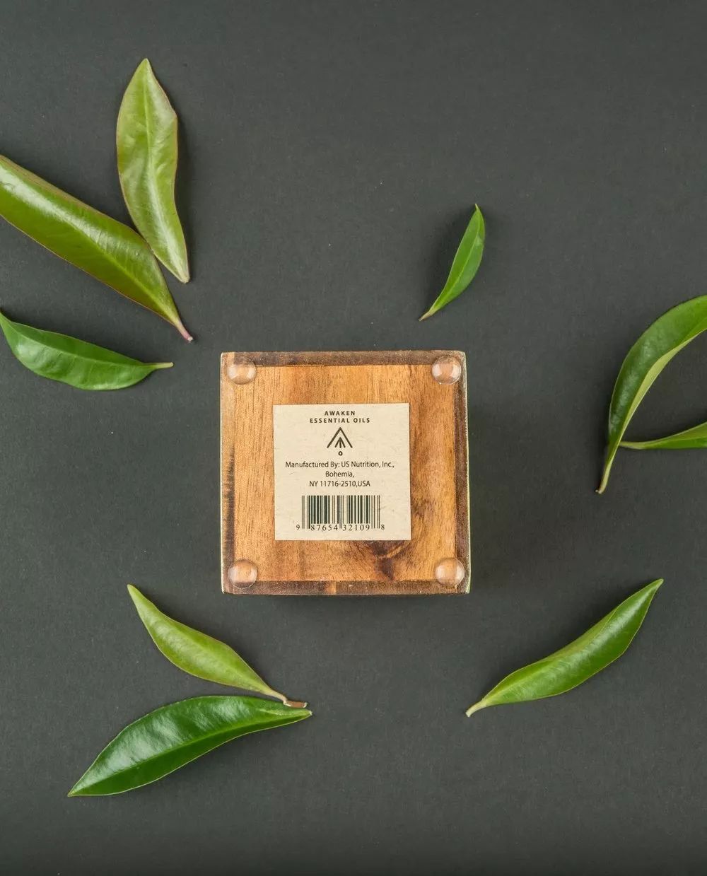 天然环保的普洱茶存盒-以优质棕榈叶打造的独特包装设计