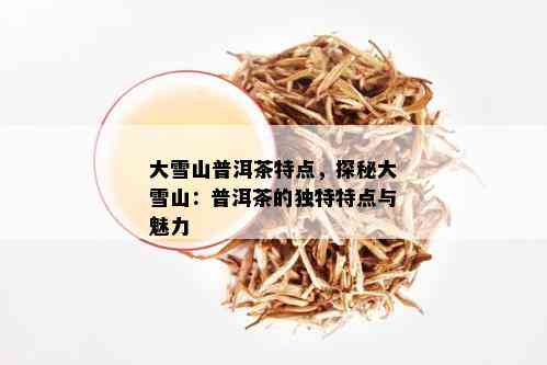 探究普洱大雪山茶的独特口感与生茶特点：一个深度解析