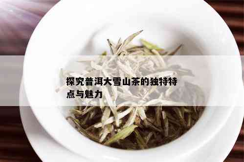 探究普洱大雪山茶的独特口感与生茶特点：一个深度解析