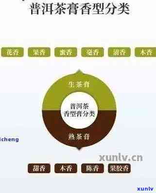 全方位解析普洱茶品鉴：、种类、制作工艺与市场趋势