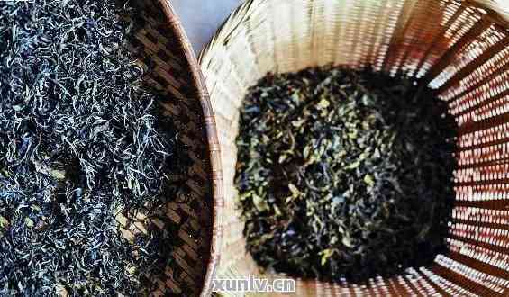 探索普洱茶的独特滋味：从茶叶发酵到入口的美妙体验
