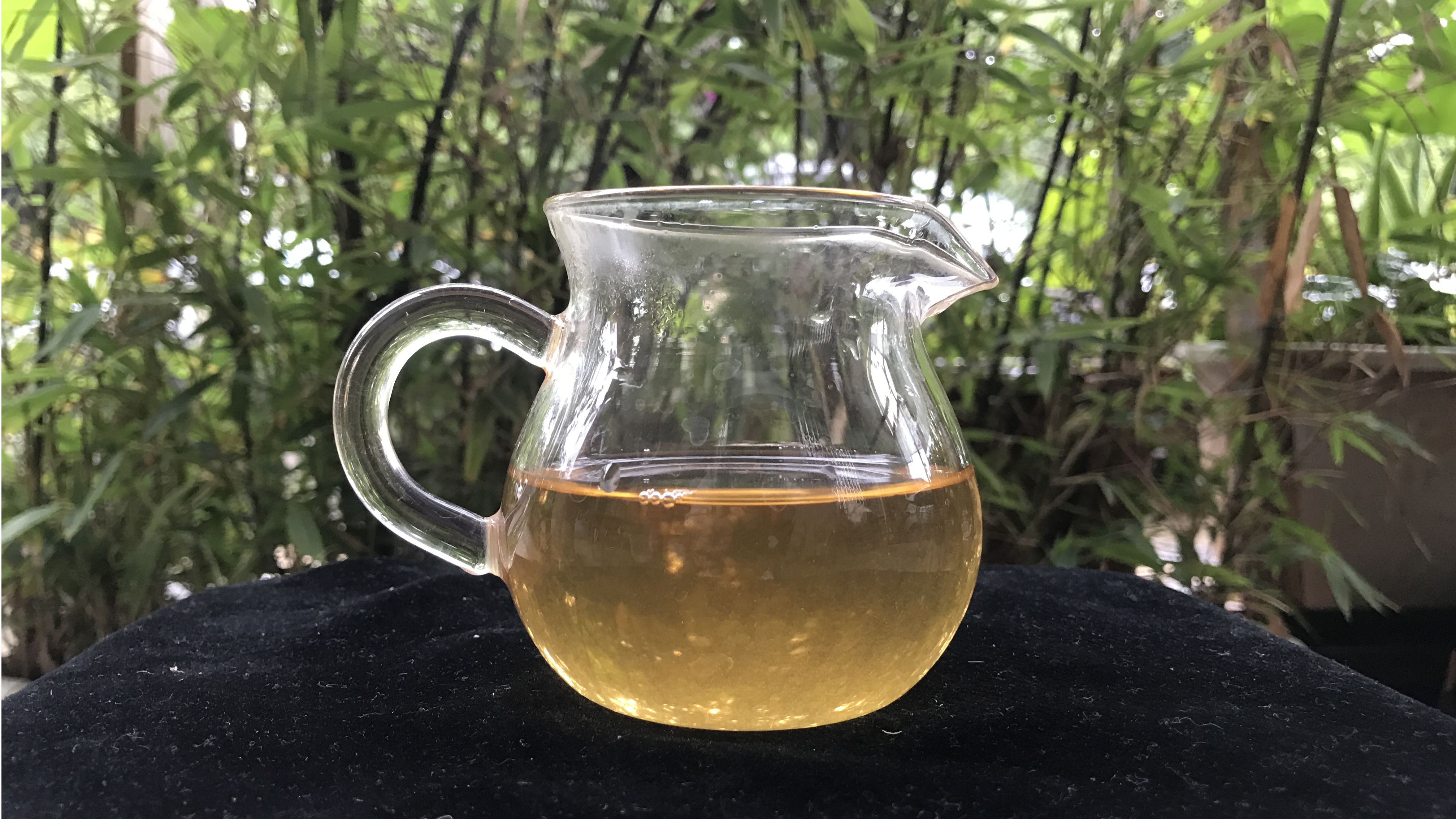 普洱茶煮好后出现黄色：理解其正常现象及其与生茶、熟茶的区别