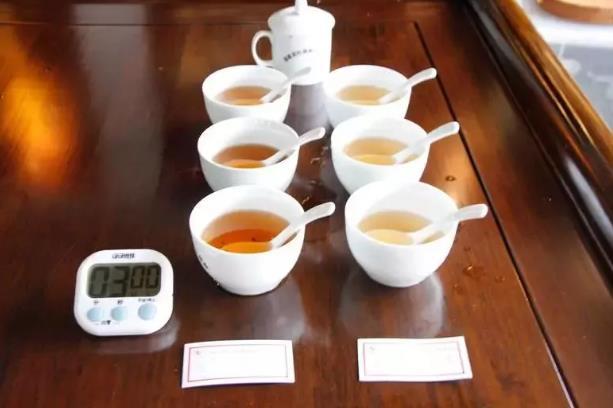 万家楼普洱茶：品质、产地、冲泡方法及品鉴技巧全方位解析