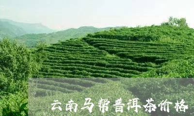 云南马绿塘普洱茶精品价格明细一览，包括图片与详细规格表