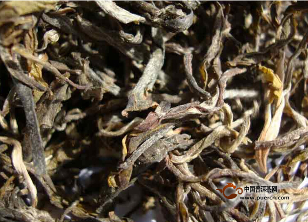马鹿塘普洱茶：品种、产地、制作工艺、口感、功效等全方位解析