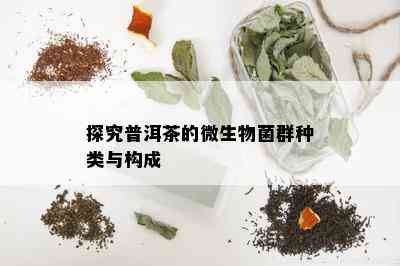 带有菌的茶是什么茶：探究含有微生物的茶类及其特点