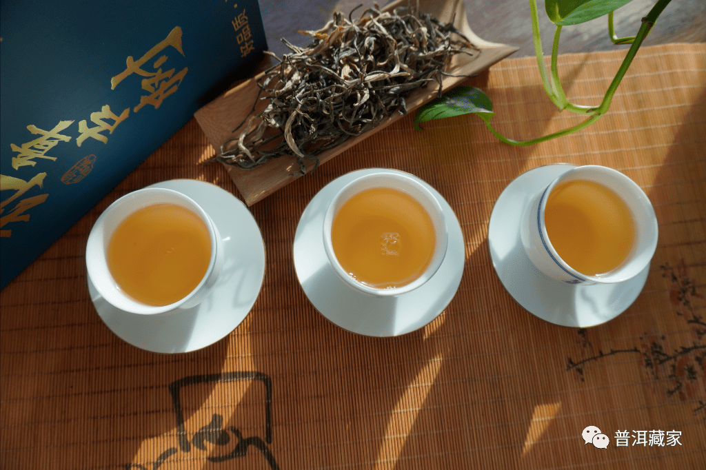 深度解析：普洱茶单株品种的独特魅力及其健益处