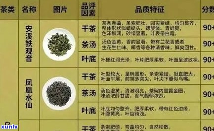 源头茶：定义、种类、功效与品质详解，如何选择和品鉴源头茶？
