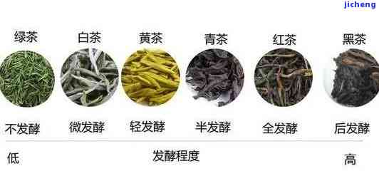 源头茶的种类及其分类解析：了解各种茶的特性与口感