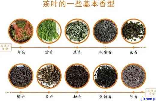 源头茶的种类及其分类解析：了解各种茶的特性与口感