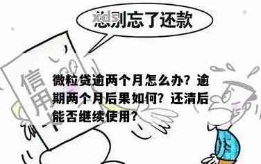 微粒贷逾期两天还款，是否可以再次借款？