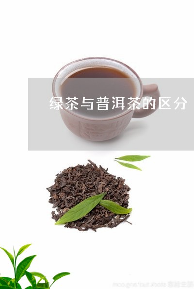 普洱茶与绿堡茶的对比：哪个更适合您？