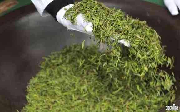 绿堡茶与普洱茶的异同：从产地、制作工艺到口感的详细对比