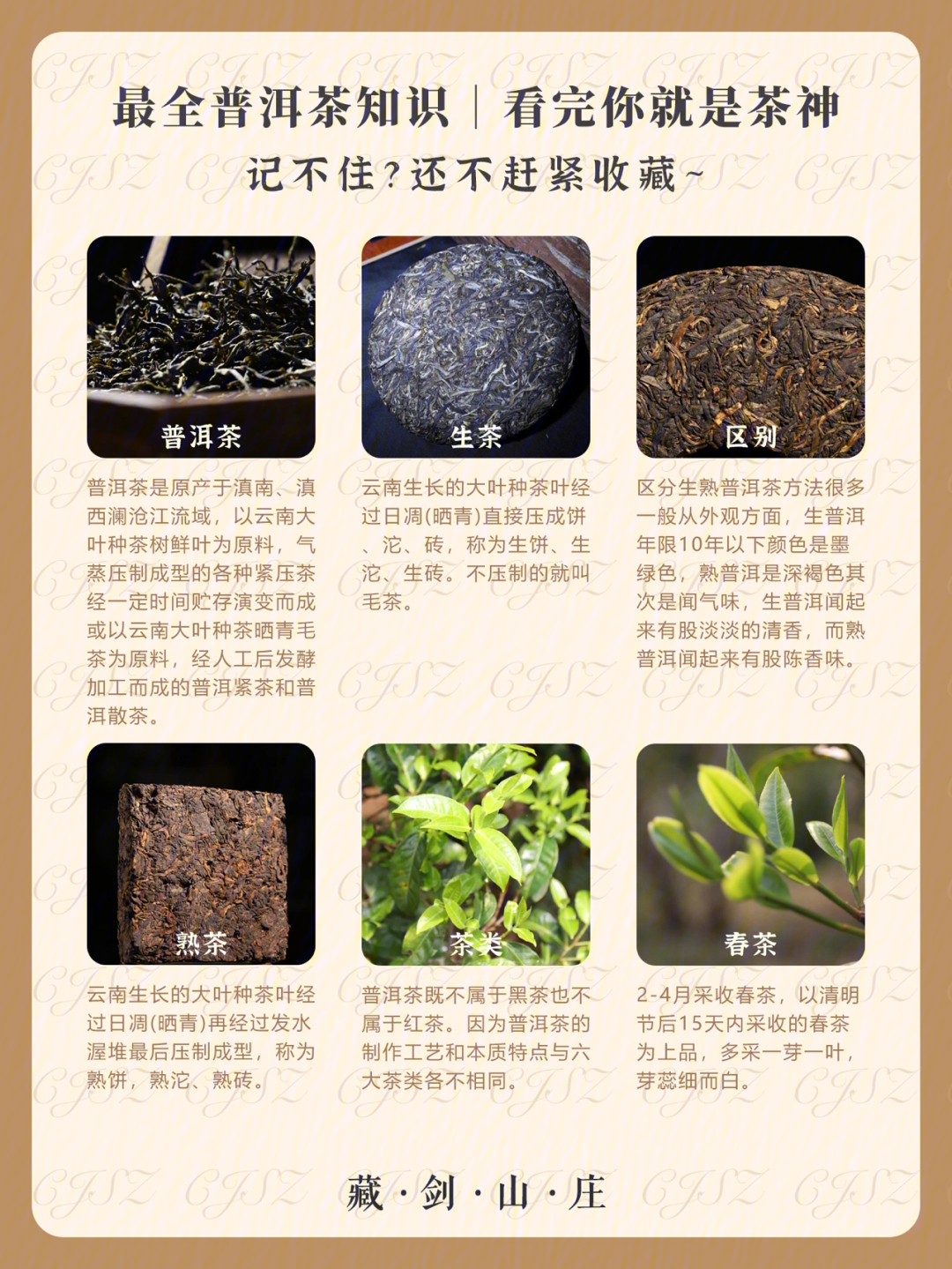绿宝普洱茶：品种、产地、功效、冲泡方法与品鉴技巧全面解析