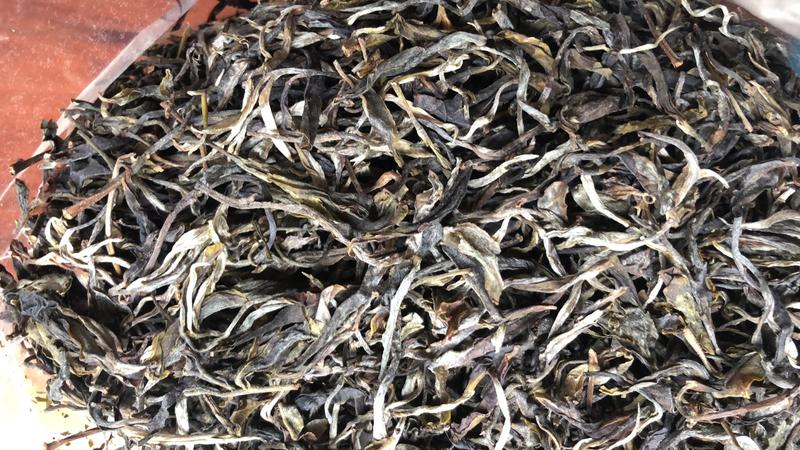 云南古树普洱茶手工采摘优质茶叶一斤最新批发价格