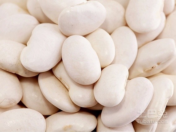 '白豆种子多少钱一斤',包含所有相关信息。