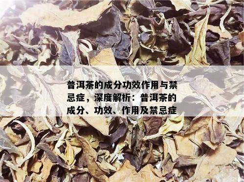 普洱茶提取物的主要成分及其作用。