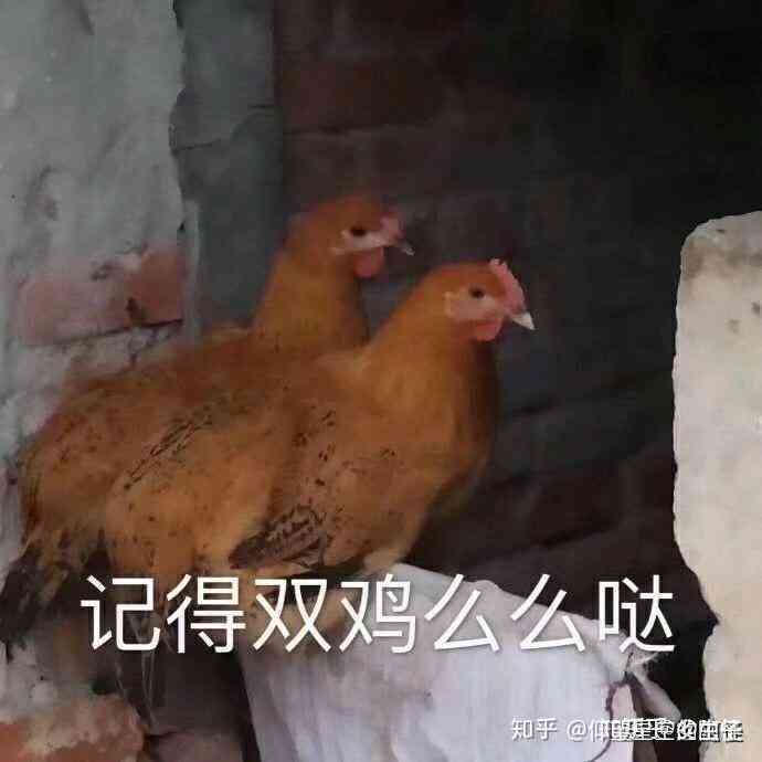 忘记还花呗逾期一天