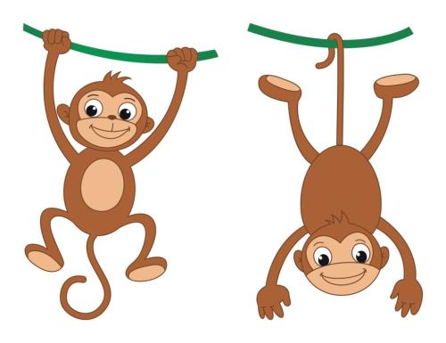 猴子和蝙蝠的寓意及其在文化中的象征意义：了解多元符号的深层含义