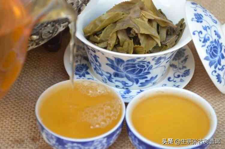 探究普洱茶耐泡的秘密：一种复杂的茶叶品质与口感的塑造因素