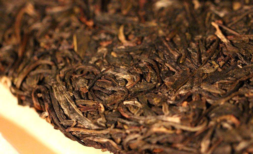 古树普洱茶的独特韵味：探索其深刻味道与口感特点