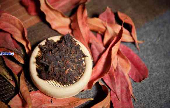 全面解析普洱熟茶品质：从外观、气味、口感到选购要点的详细指南