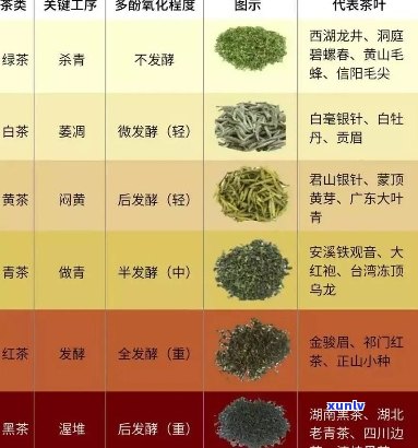 麒麟茶叶全方位解析：品种、产地、功效、泡法与品鉴，助您成为茶叶专家