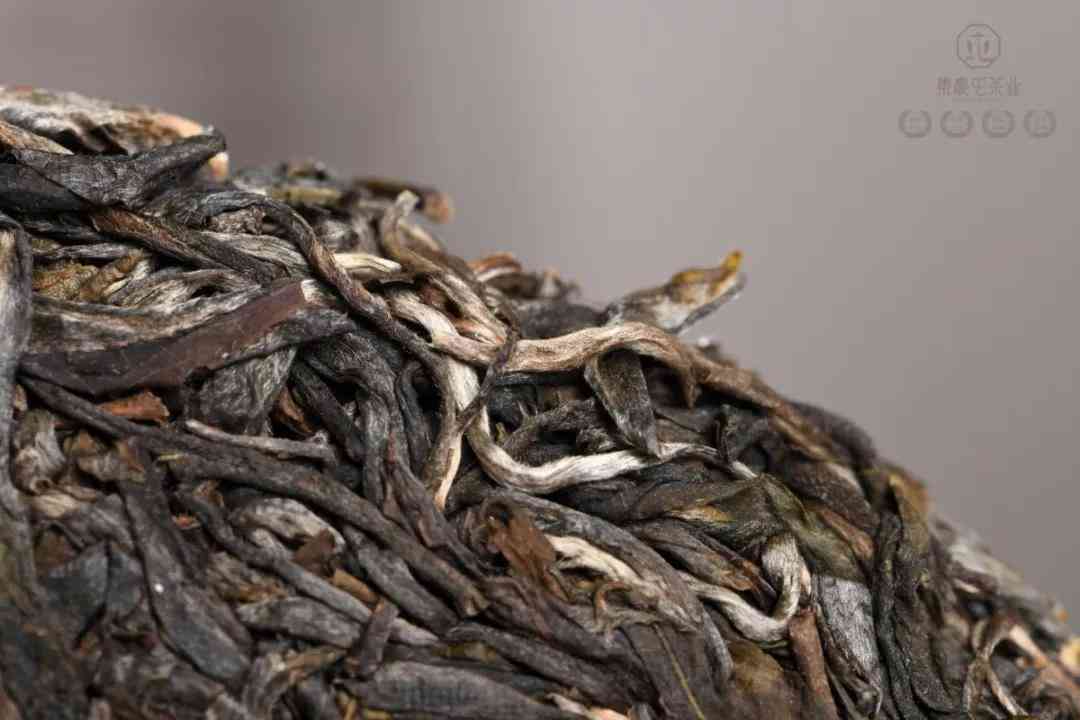 麒麟曼松普洱茶产地：金麒麟与普洱茶的完美结合