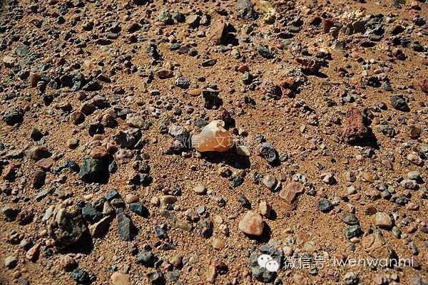 戈壁滩上的马鬃山捡石记：探索自然奥秘与美丽石头的魅力
