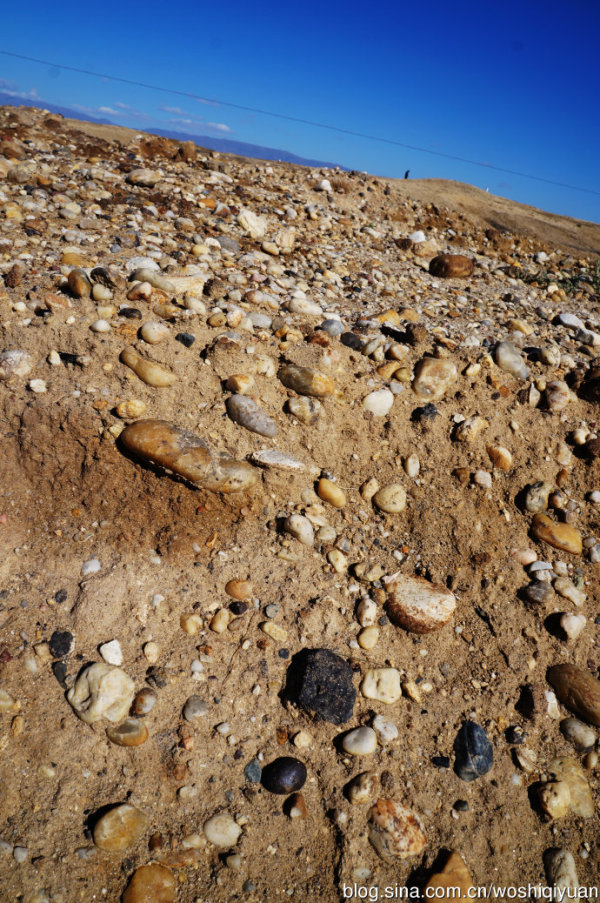 戈壁滩上的马鬃山捡石记：探索自然奥秘与美丽石头的魅力