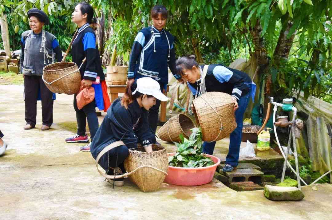 普洱茶手工制茶锅好吗