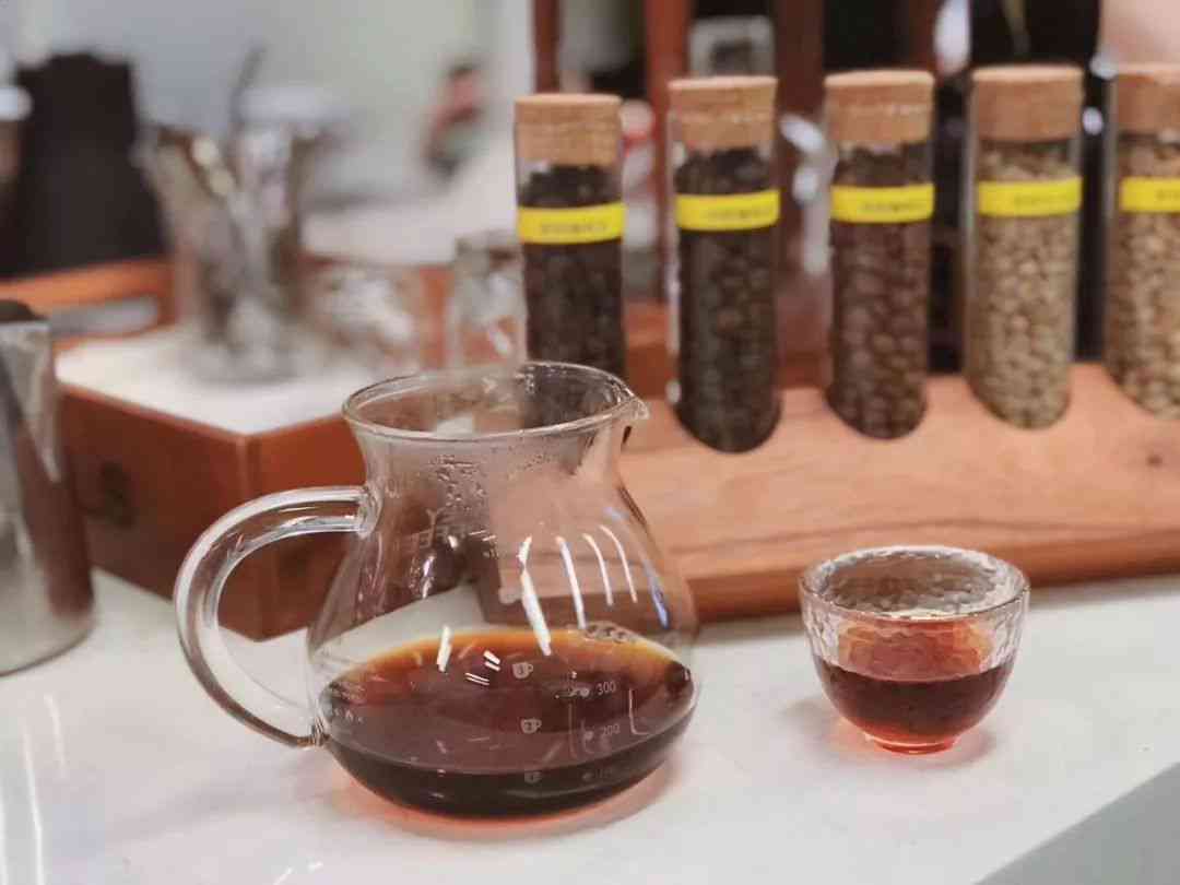普洱茶的饮用禁忌与替代品：如何选择适合你的饮品？