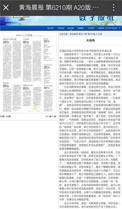 六位数普洱茶推荐：全面解析与选购指南