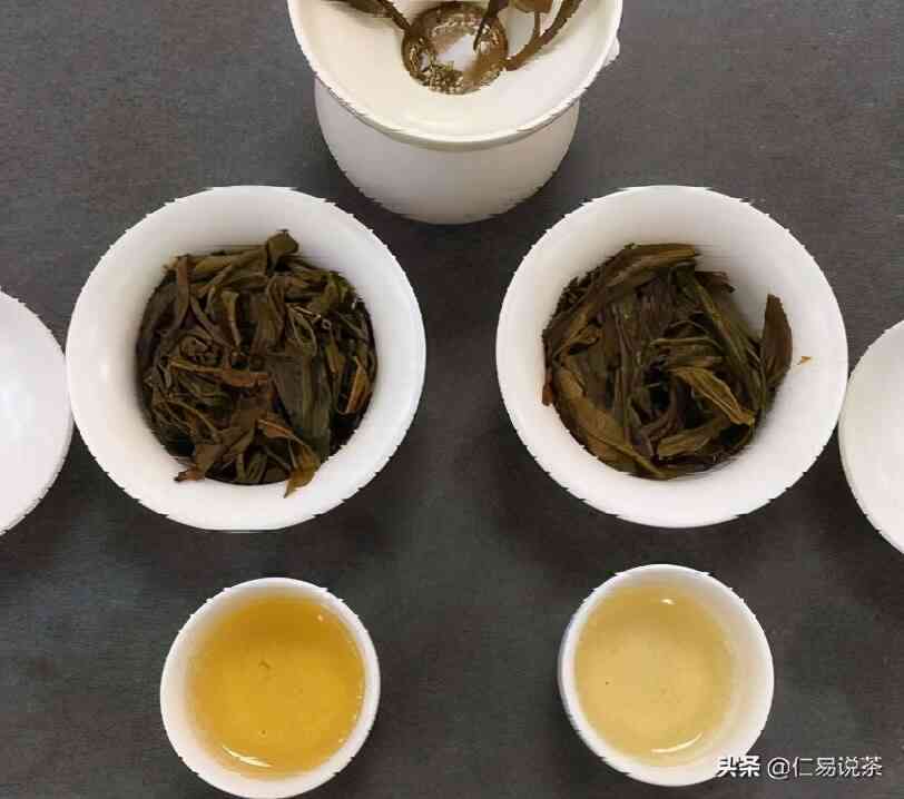 普洱茶怎么选优质茶叶