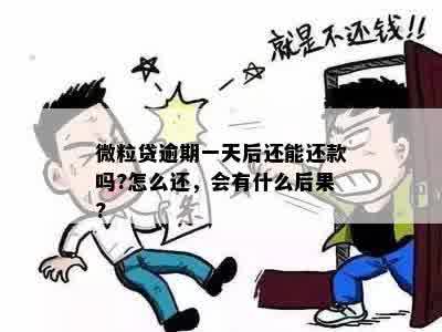 微粒贷逾期一天还款的后果：了解影响与解决办法