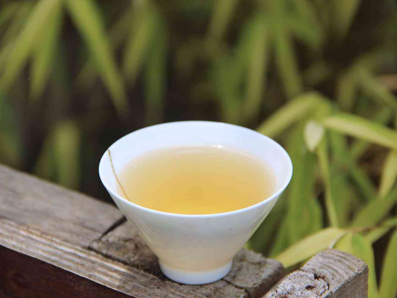 普洱茶的分类：熟普茶和其他类型茶叶的区别解析